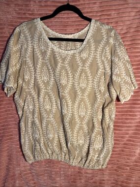 Solitaire Beige Embroidered Short Sleeve Scoop Neck Top